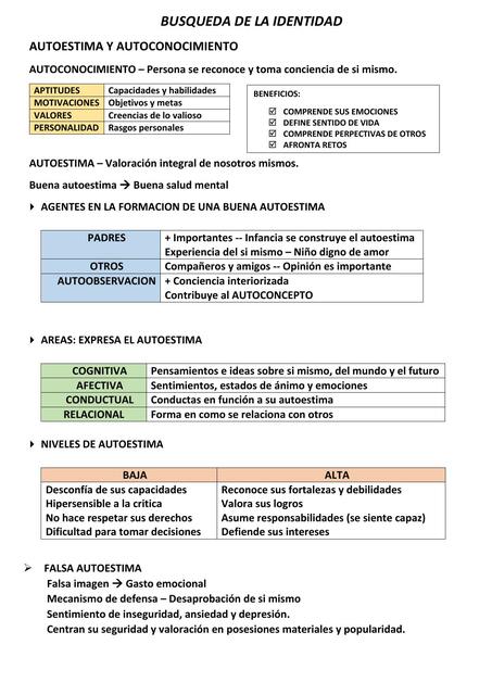 Búsqueda de la identidad