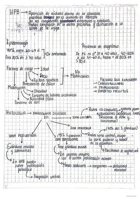 Hiperplasia Prostática Benigna  