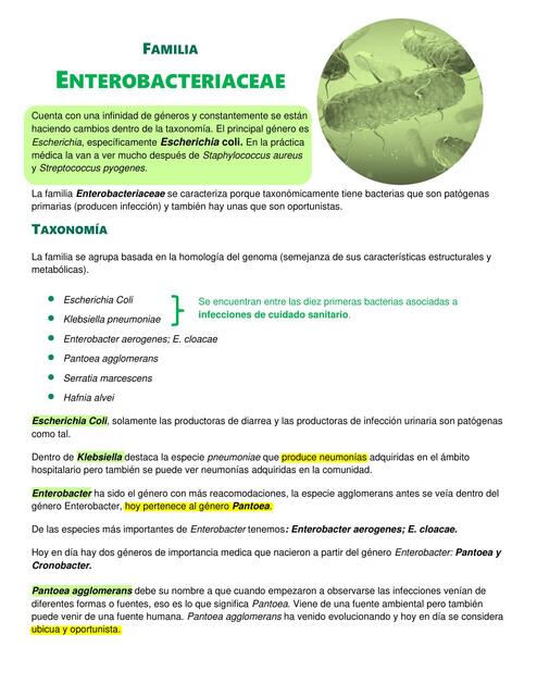 Familia enterobacteriaceae