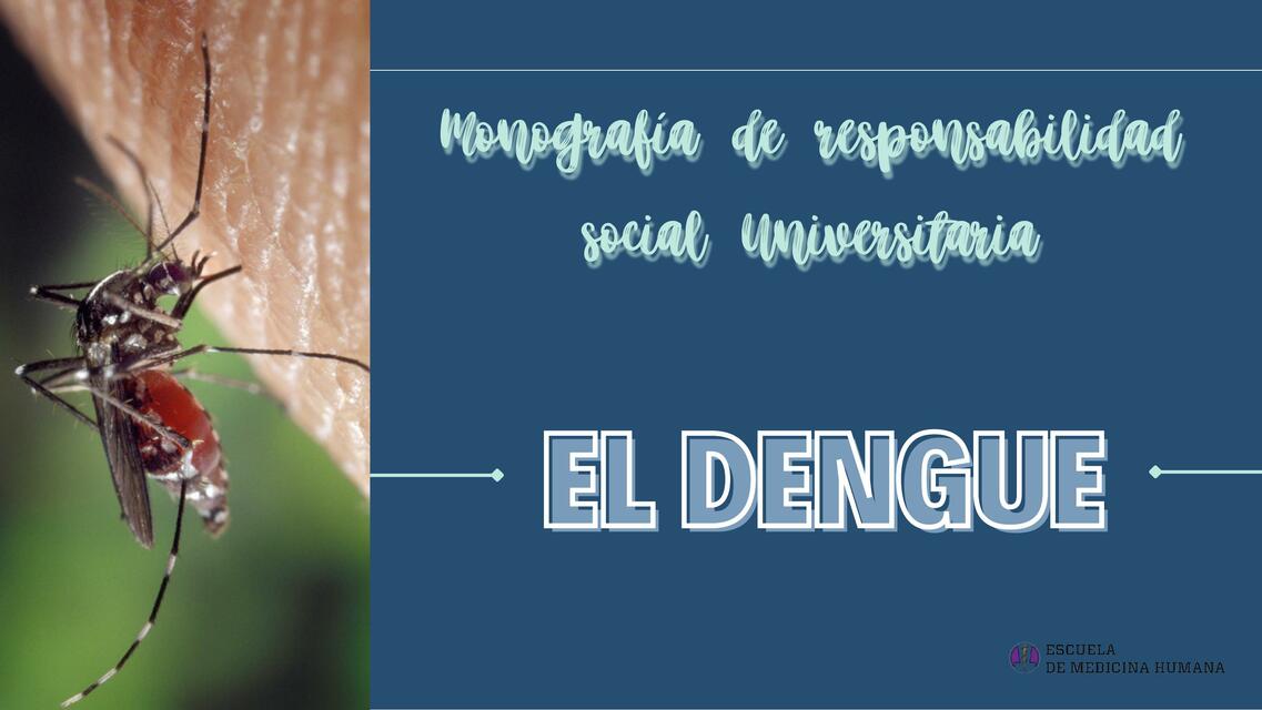 El Dengue 