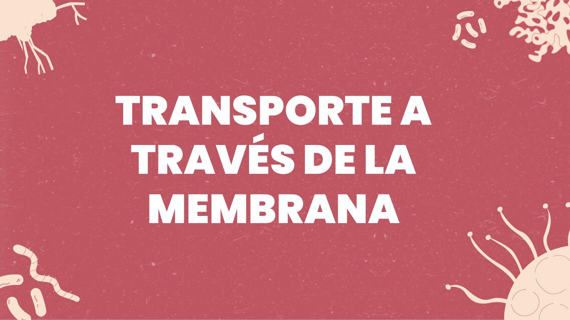 Transporte de la Membrana (Lípidos, Proteínas, Gradiente)