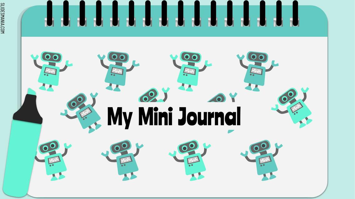 My Mini Journal 