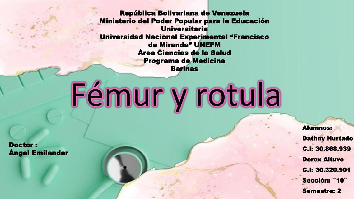 Fémur y Rotula 