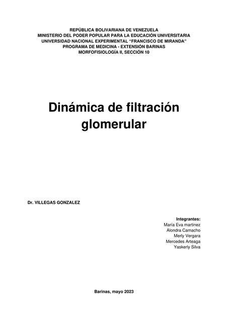 Dinámica de Filtración Glomerular