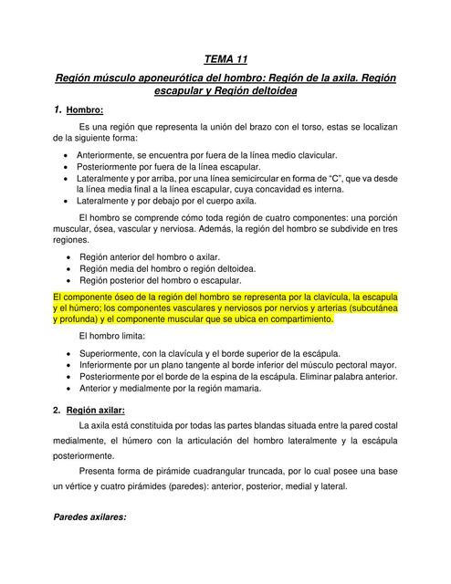 Región Músculo Aponeurótica del Hombro: Región de la Axila. Región Escapular y Región Deltoidea 