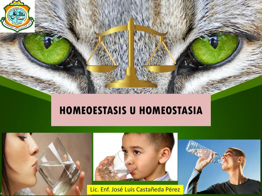 Homeostasia