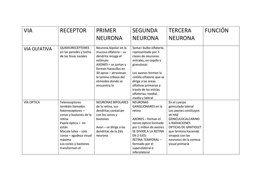 Vías sensoriales