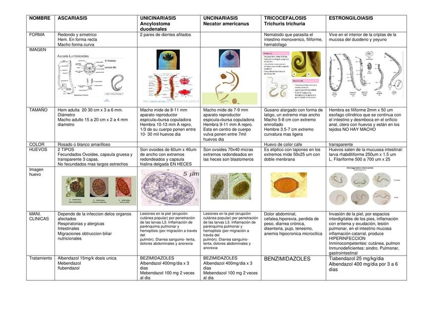 Parasitología 