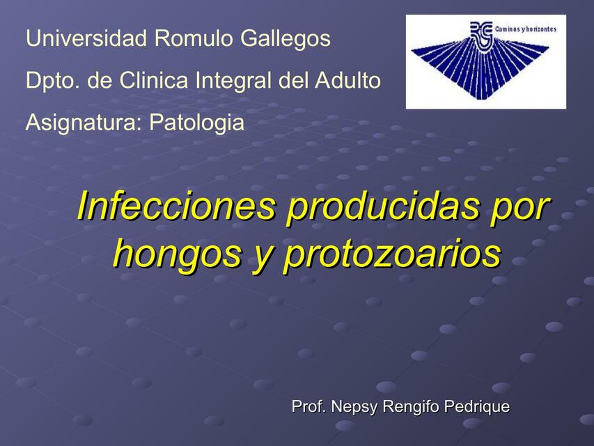 infecciones producidas por hongos y protozoarios