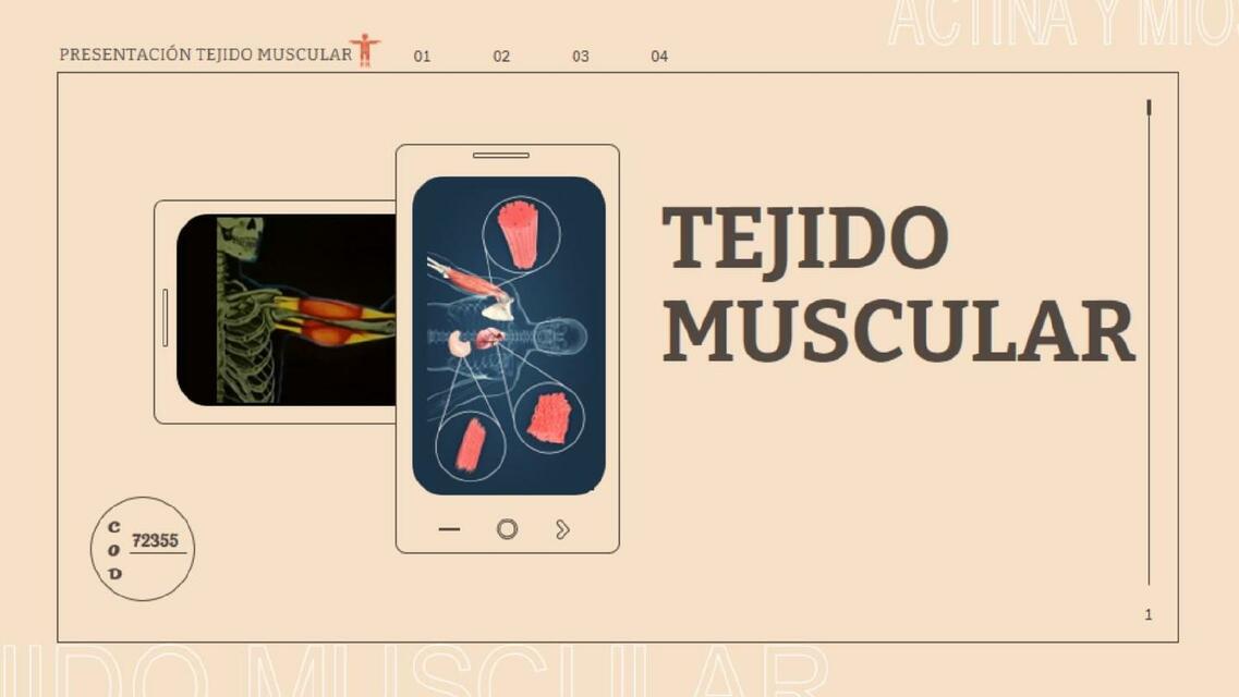 Tejido muscular gumucio