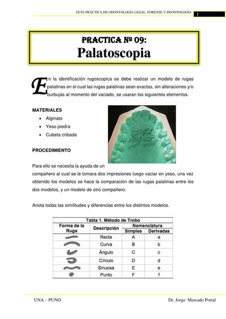 Palatoscopia 