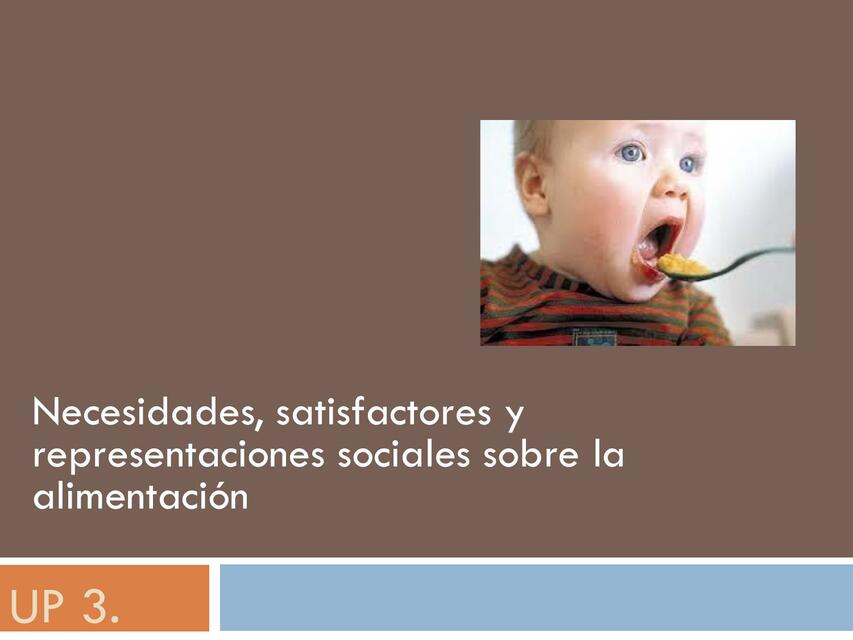 Necesidades, satisfactores y representaciones sociales sobre la alimentación