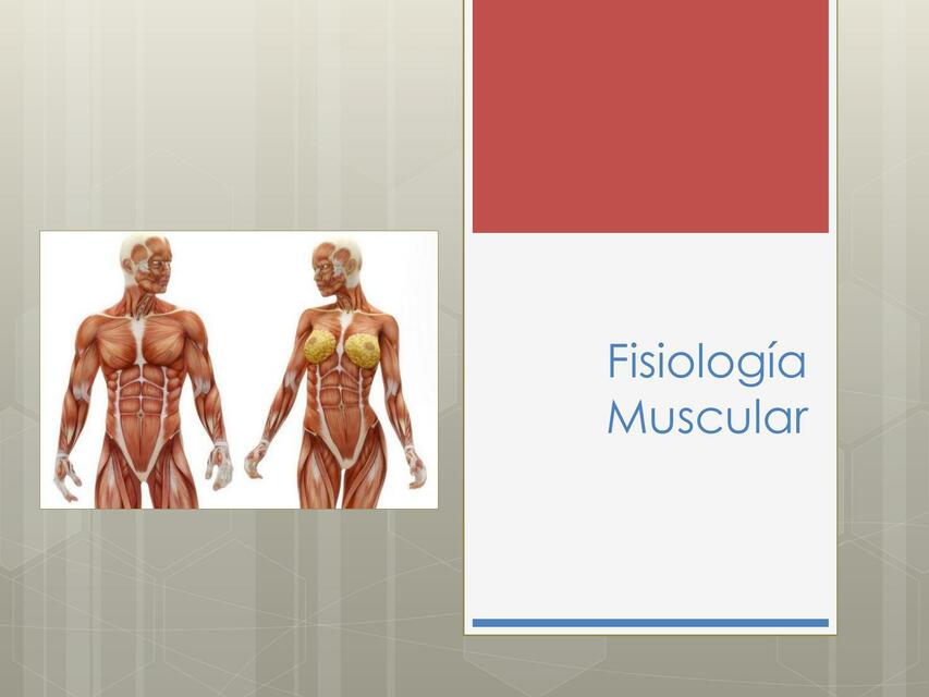  Fisiología muscular