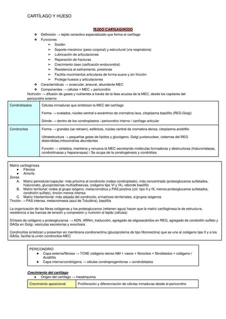 Cartílago y Hueso 