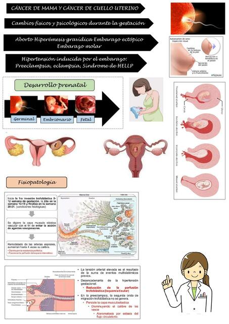 Cáncer de mama y cáncer de cuello uterino