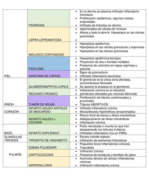 semana 4a 8a