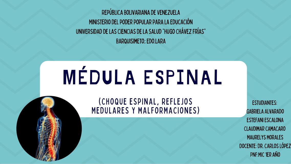 Médula espinal