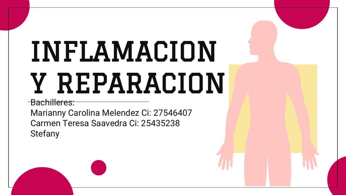 Seminario inflamación y reparación