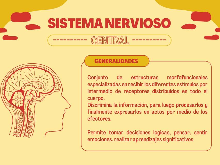 Sistema Nervioso Central 