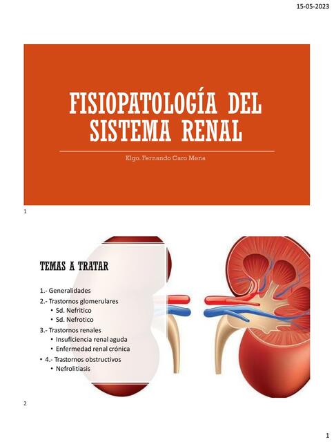 Fisiopatología del sistema renal