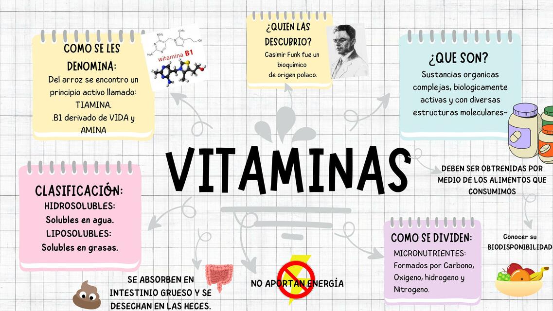 Mapa Mental vitaminas