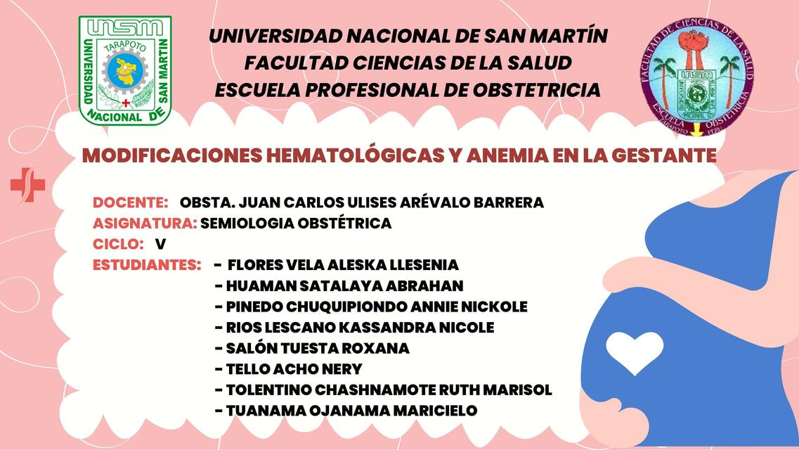 Modificaciones Hematológicas y Anemia en la Gestante 