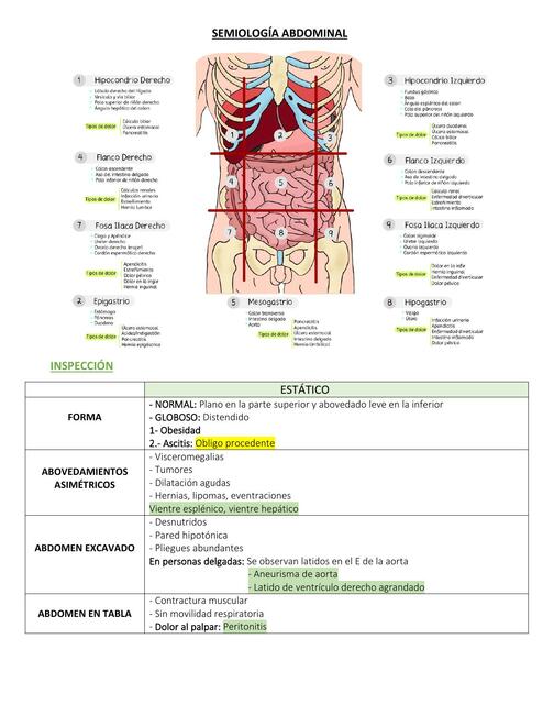 Semiología Abdominal 