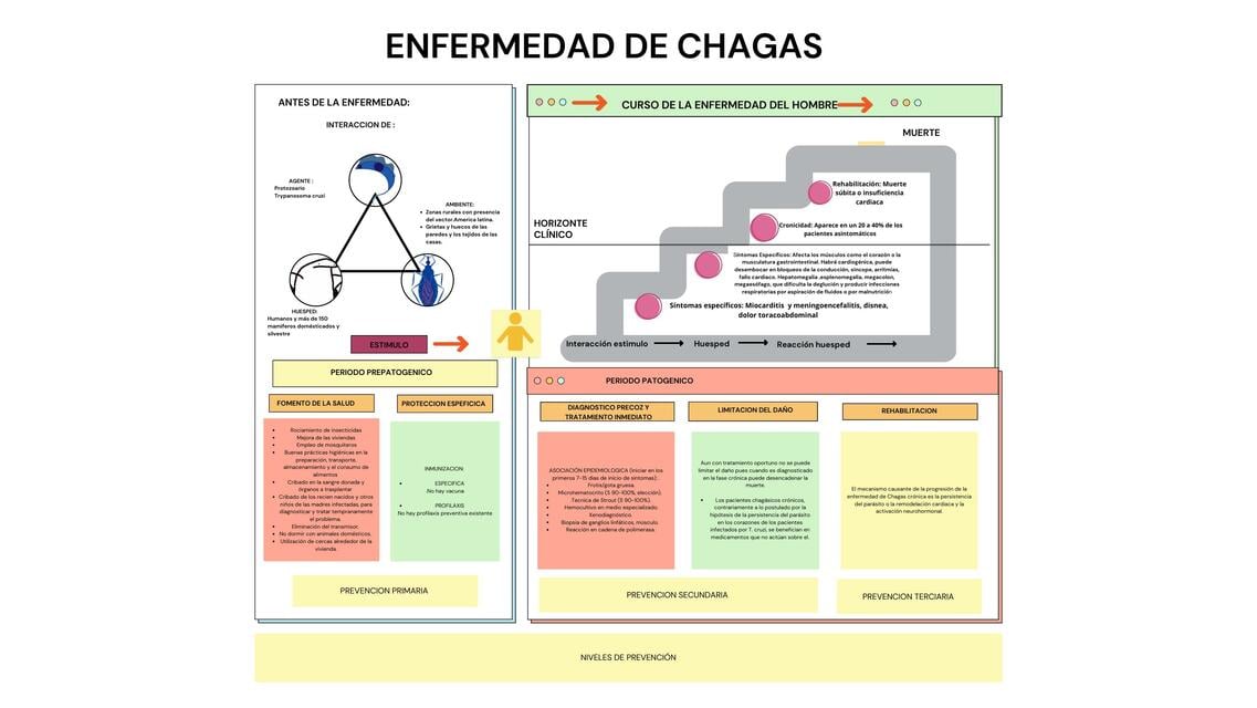 Enfermedad de Chagas | Samira Maas | uDocz
