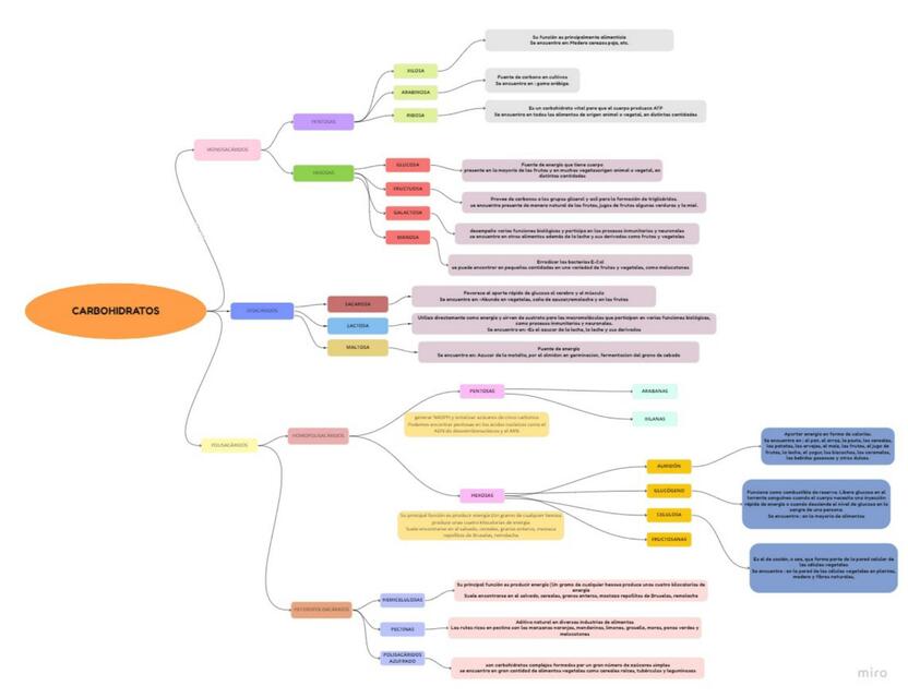 Carbohidratos