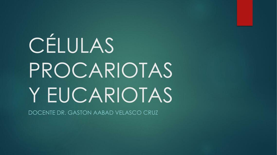 Células Procariotas y Eucariotas 