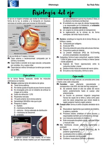 Fisiología del ojo 