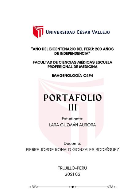 Portafolio III