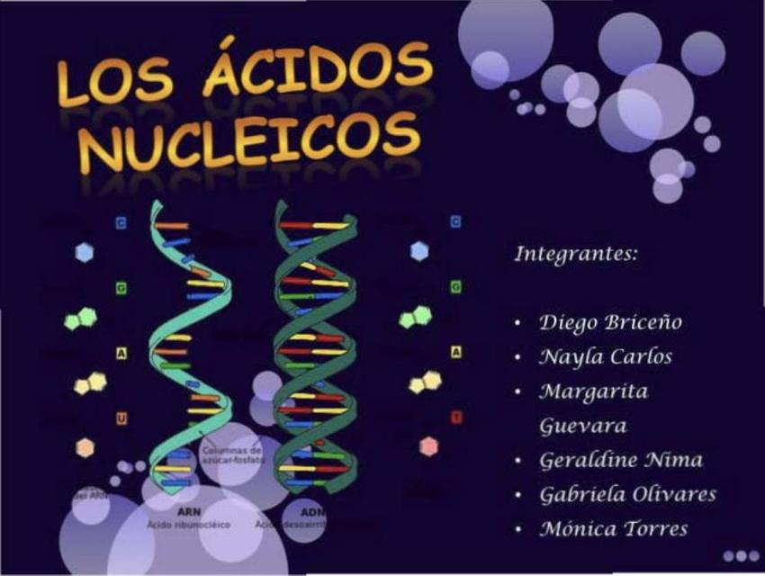 Los ácidos nucleicos 