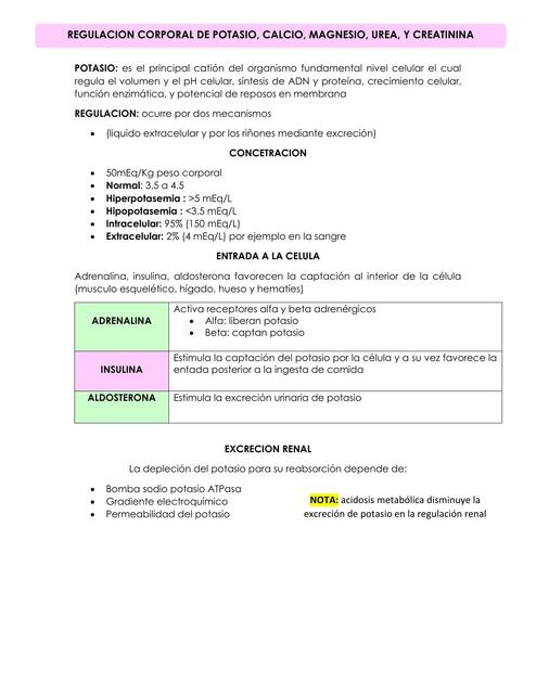 Regulación Corporal de Potasio, Calcio, Magnesio, Urea y Creatinina 