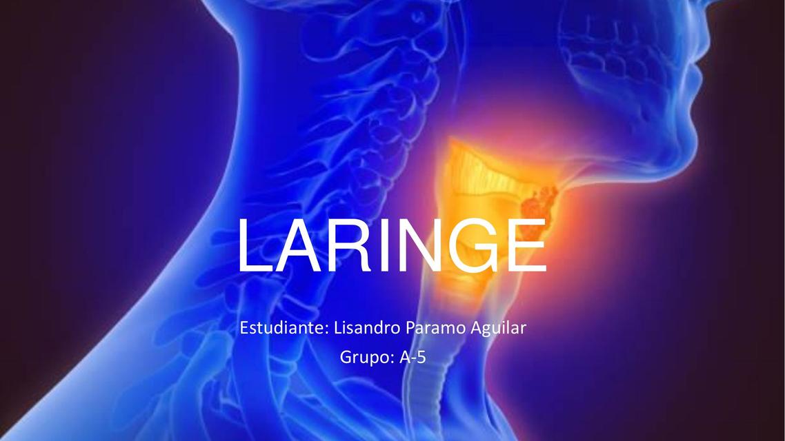 Laringe 