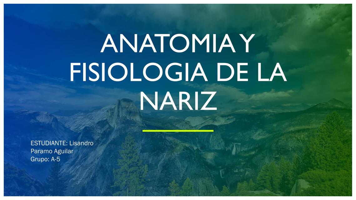 Anatomía y Fisiología de la nariz 