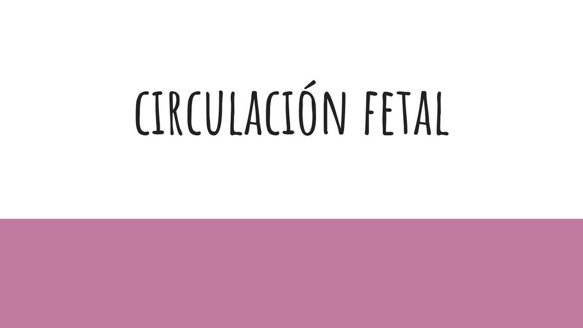 Circulación fetal