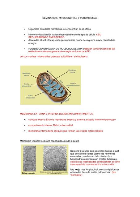 Mitocondrias y Peroxisomas 