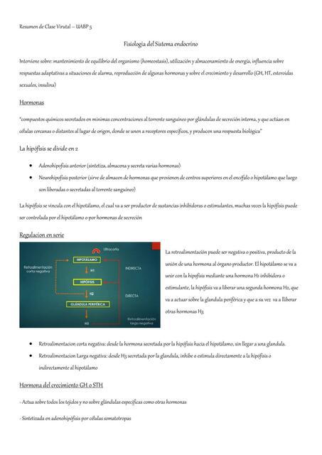 Fisiología del Sistema Endocrino - GH & TH