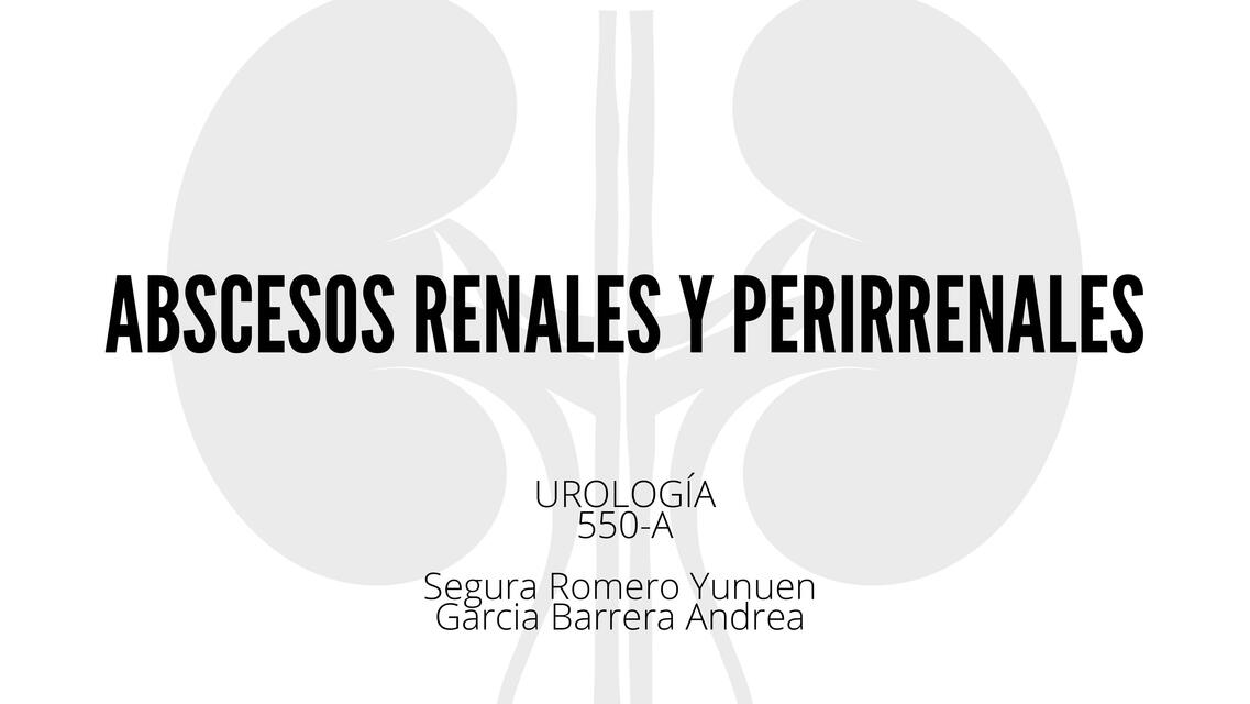 Abscesos Renales y Perirrenales 