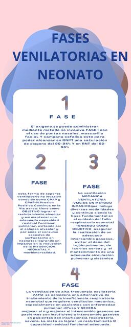 Fases Ventilatorias en Neonato 