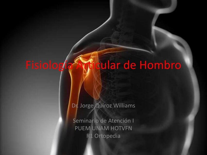 Fisiología articular de hombro