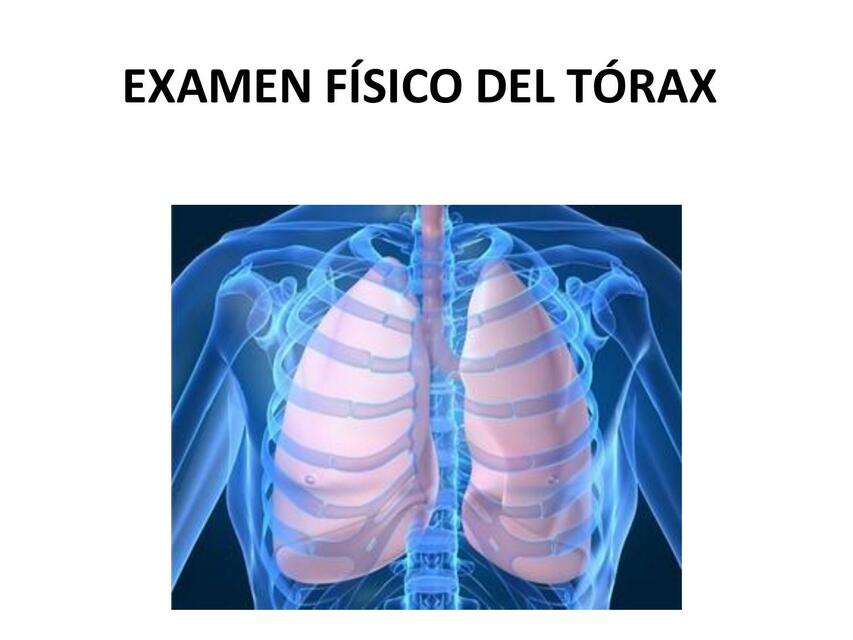 Semiología cardiovascular