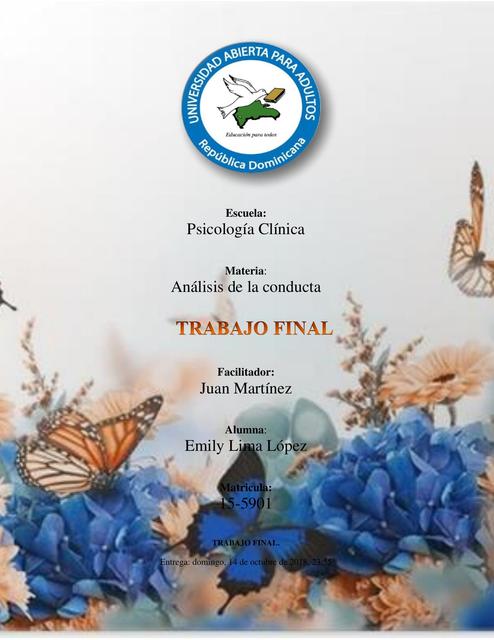 TRABAJO FINAL