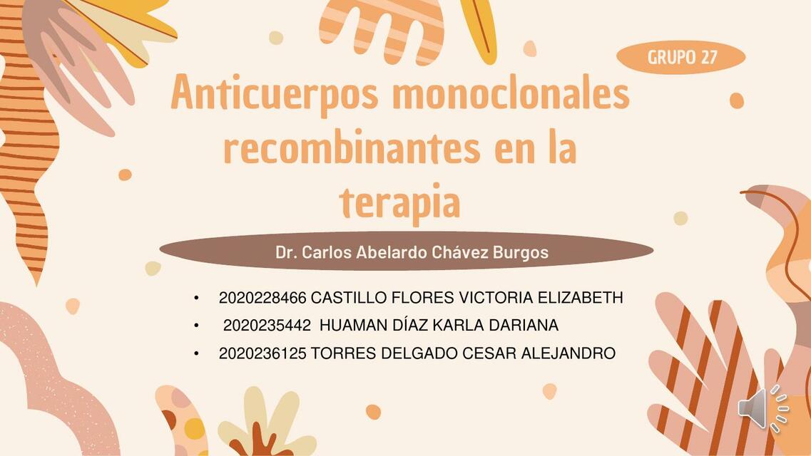 Anticuerpos Monoclonales Recombinantes en la Terapia 