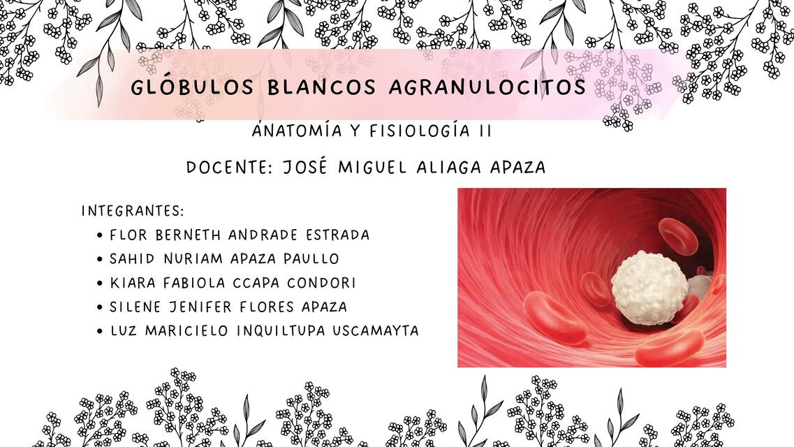 GLÓBULOS BLANCOS AGRANULOCITOS