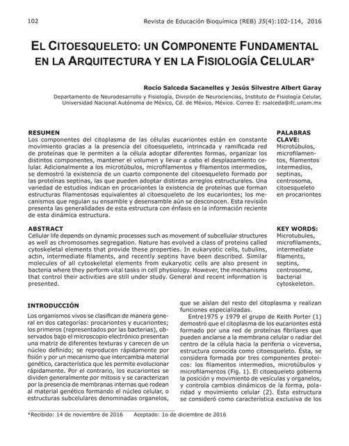 El Citoesqueleto: un componente fundamental en la arquitectura y en la fisiología celular 