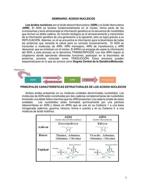 Seminario: Ácidos Nucleicos 