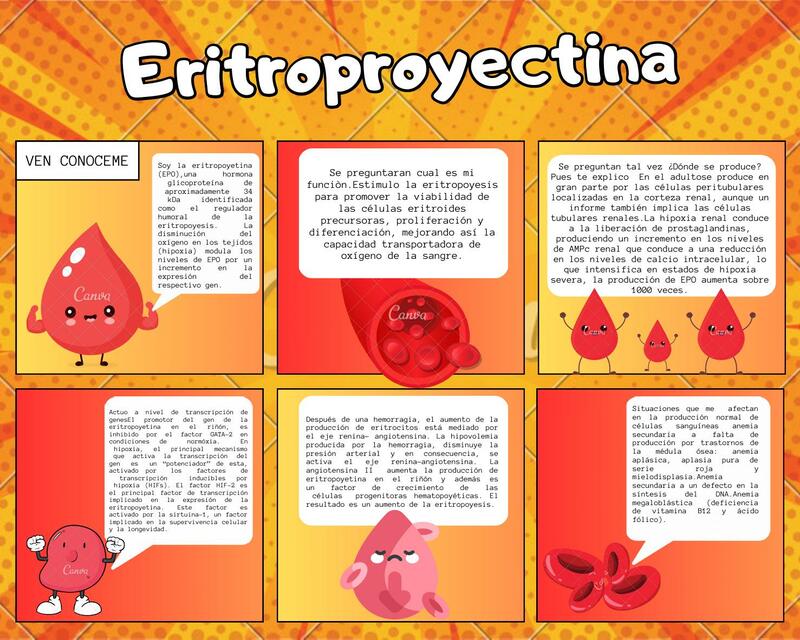 Eritropoyectina 