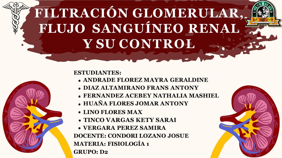 Filtración glomerular flujo sanguíneo renal y su control